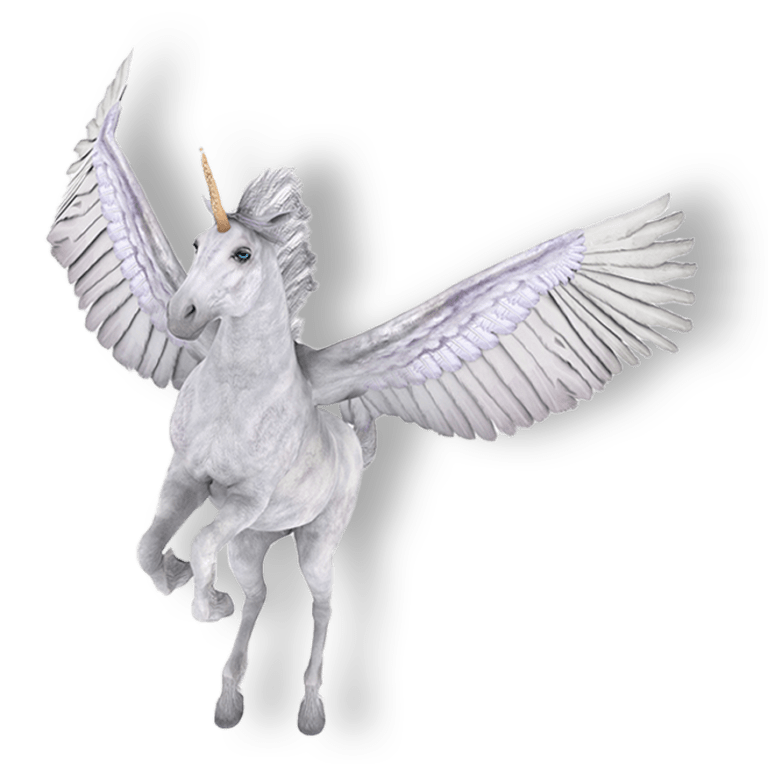 pegasusb